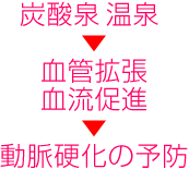 炭酸泉→血管拡張・血流促進→動脈硬化の予防